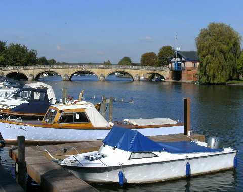 Swimming birds at Henley