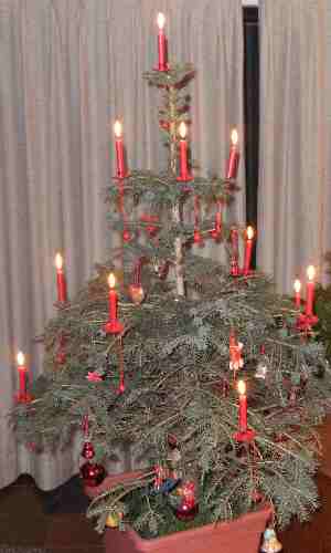Xmas tree